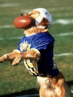 AirBud2