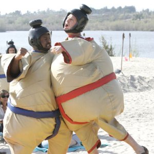 sumo