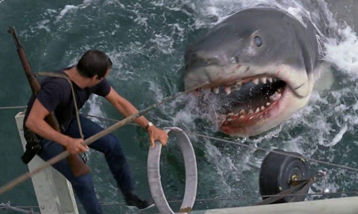 jaws