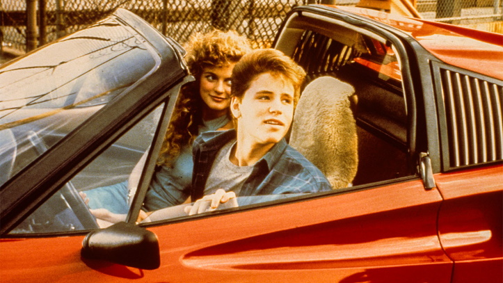 license to drive