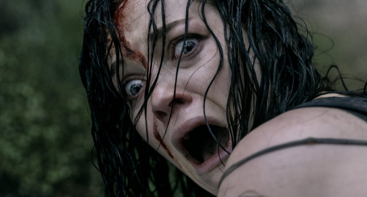 evil dead 2013