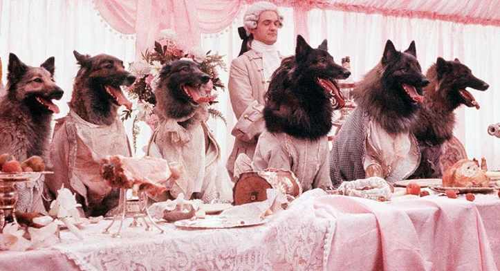 in the company of wolves