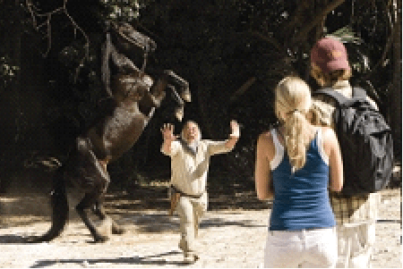 Well... that's something you don't see every day. Picture time!